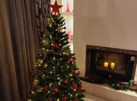 Mary's Modern and Elegant apartment