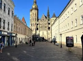 Alžbetina Old Town Apartment