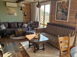 Piliakalnio Apartmentai