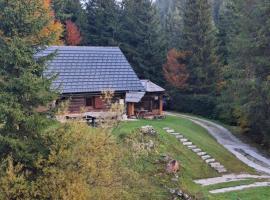 Brunarica na Goreljeku, Pokljuka