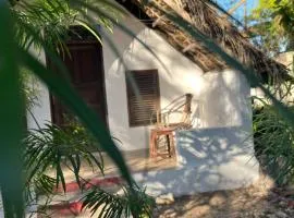 Olga Beach Nungwi