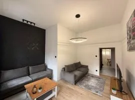 Apartament Poznań Stare Miasto