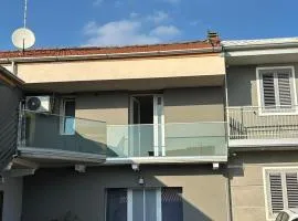 sole