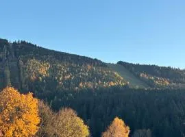Penzion Verde Rosa
