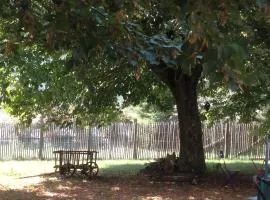 L'Eco-logis du Clos Des Tilleuls