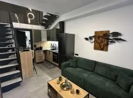 TrikalaBnB - Prime Loft 2