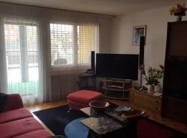 Appartement à partager avec couchage sur un grand matelas au sol