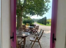 Agriturismo Corte Bonetti - Appartamento Il Platano