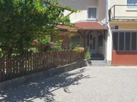 Studio Apartments Ante