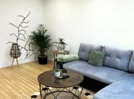 Ferienwohnungen 'Moselzauber' & 'Moselstern'