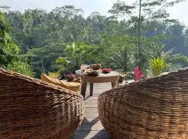 The Jungle Nook - Vegan Boutique Cottage