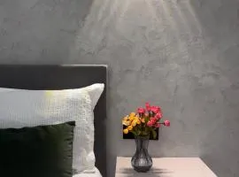 Comfort Studio Apartment