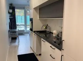 Apartment with garden-D&A