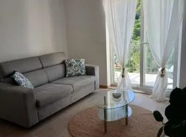 Apartman Lasko 1