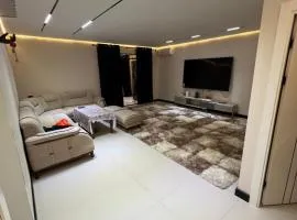 Luxury apartment