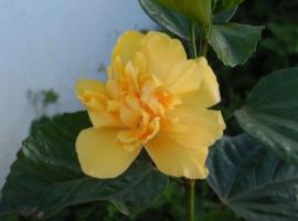 Próximo à represa, hotel v destinaci Areado