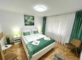 Luxury Apartment