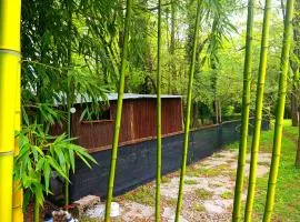 Bongalow bamboo