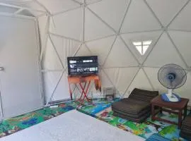 Dome Treehouses for family 2 adults 2 kids