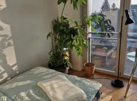 Lumi, modernes Attika-Refugium