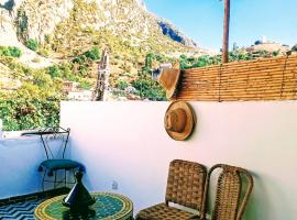 Dar SBAA，位于舍夫沙万的宠物友好酒店