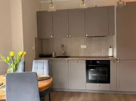 Apartament w Rynku pod Twierdzą