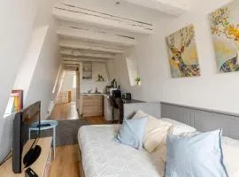 ** appartement cathédrale Strasbourg centre**