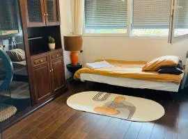 Chambre à louer dans un panthause