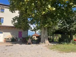 Agriturismo Corte Bonetti - Appartamento Il Salice