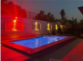 Royal Mansion with private pool in sheikh zayed Compound families