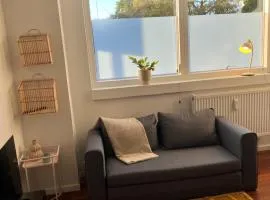 Convenient apartment - close to everything