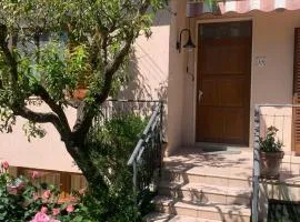 Appartamento tonini house