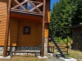 Апартаменти - Дворівневі Лісова тиша