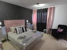 Desert roses Tenerife