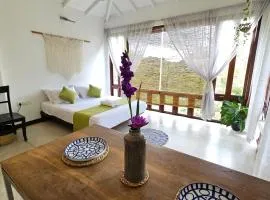 Casa Selvita