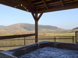 Offa's Dyke Lodge - Uk10835