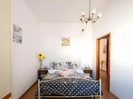 Golden Bay Lux House