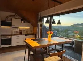 HTS Mosel Apartment Wanderlust Bernkastel Andel