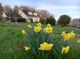 Chambres d'hôtes - Chez Rosy 41