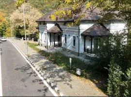 Bujorul Oltului