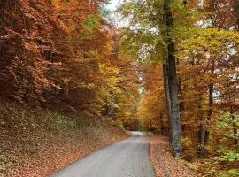 Gîtes les COMBES
