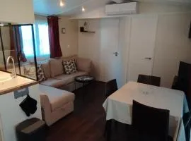 Mobil home, 4 personnes, camping 3 étoiles à la Tremblade