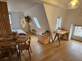 ϟ Appartement Lumineux Scandinave - COUP DE FOUDRE