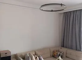 1BR apartment next to the Junction Mall, Lavington