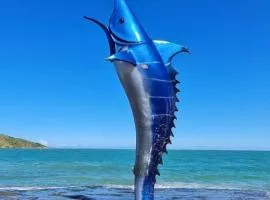 Perto do peixe Marley - Praia do Morro