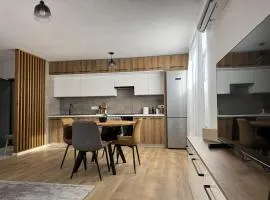 Central Apartment