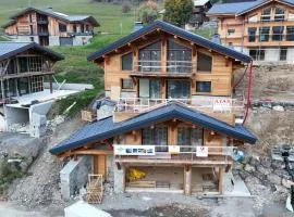 Chalet APY - Grand chalet neuf avec terrasse, 6 chambres, wifi, balcon, bornes électriques etc