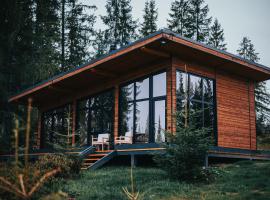 Inima Pustei Cabin，位于Măguri的酒店