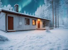 Arctic villa near Santa Park