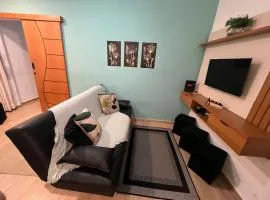 Canto do Forte - 1dorm - ate 6 Hospedes, recém reformado próximo a Av Gastronômica de melhores bares e restaurantes com musica ao vivo